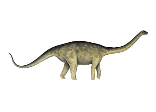 Rhoetosaurus