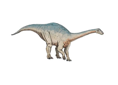 Riojasaurus