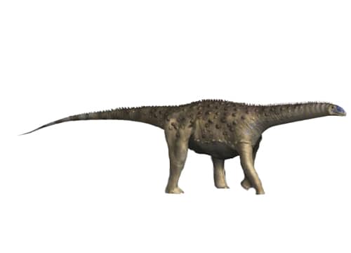 Saltasaurus