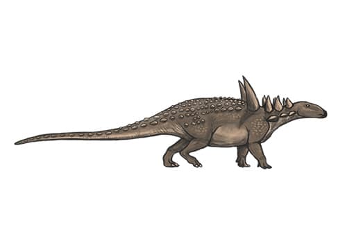 Sauropelta