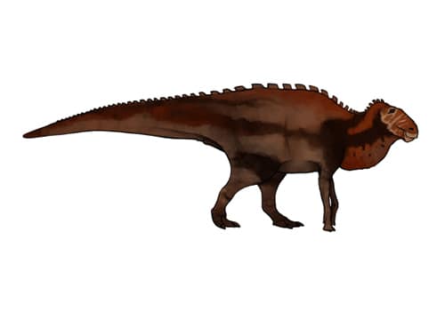 Secernosaurus