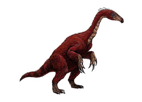 Segnosaurus