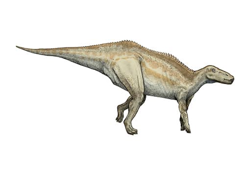 Shantungosaurus