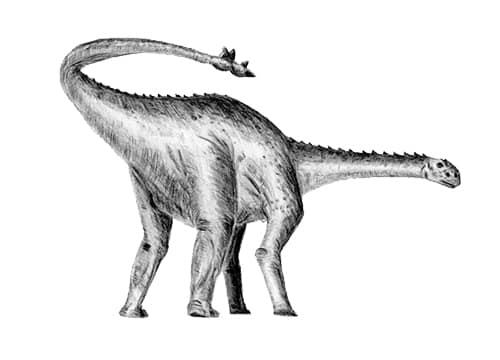 Shunosaurus