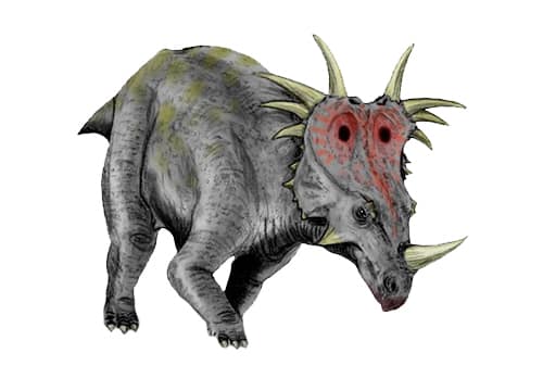 Styracosaurus