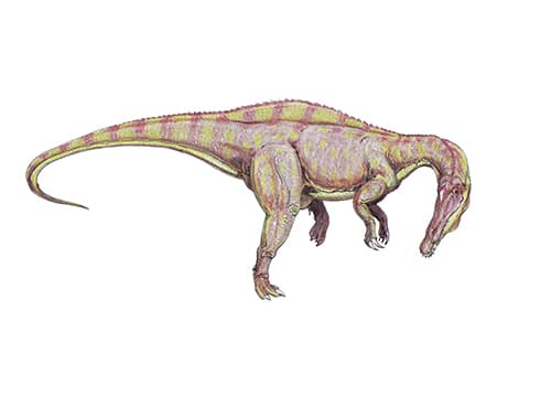 Suchomimus