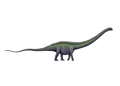 Supersaurus