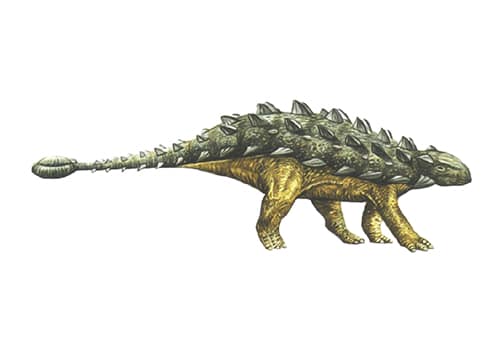 Talarurus