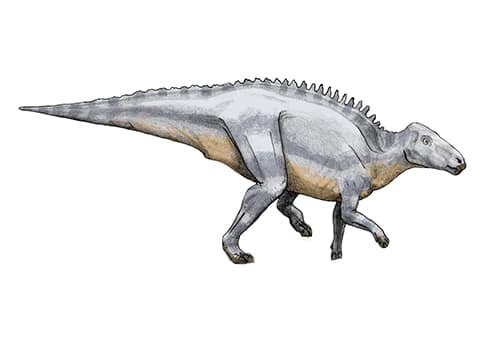 Telmatosaurus