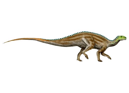 Tenontosaurus