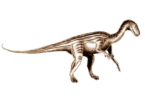 Thecodontosaurus