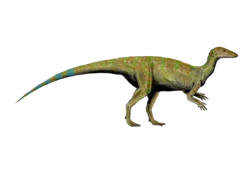 Thescelosaurus