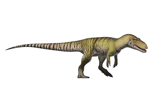 Torvosaurus