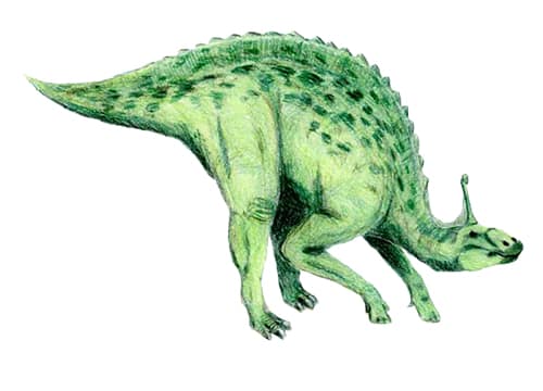 Tsintaosaurus