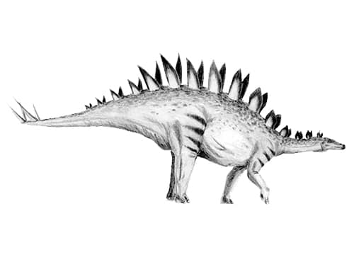 Tuojiangosaurus