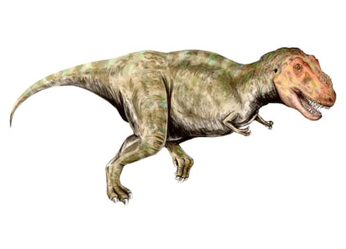 Tyrannosaurus Rex