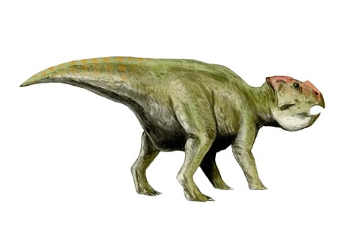 Udanoceratops