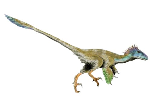 Utahraptor