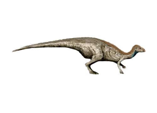 Valdosaurus