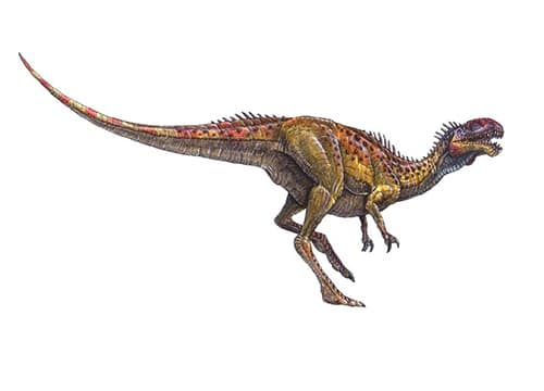 Velocisaurus