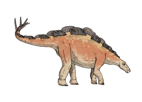 Wuerhosaurus