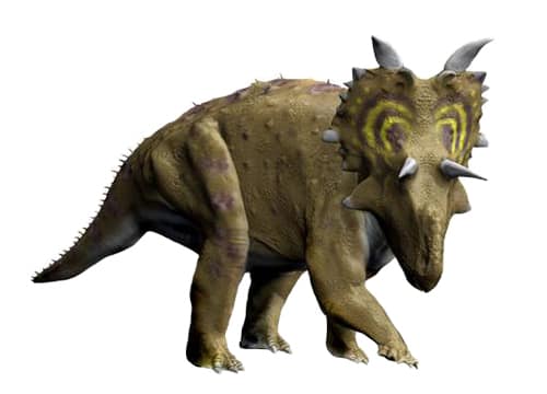 Xenoceratops