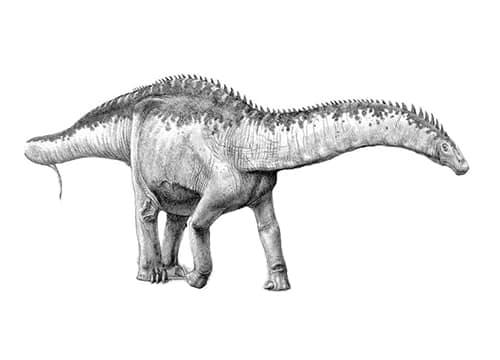 Yuanmousaurus