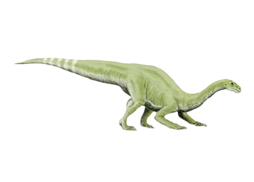 Yunnanosaurus