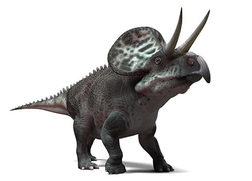 Zuniceratops